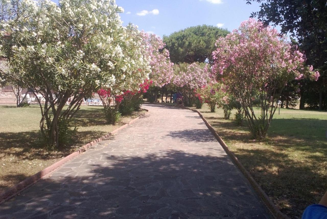סן וינצ'נזו Maison Antoinette מראה חיצוני תמונה
